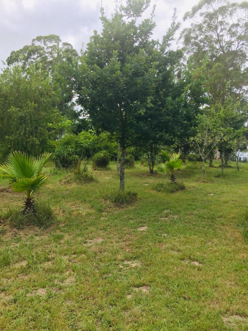 4 Bedroom Property for Sale in Leeuwenbosch Ah Western Cape